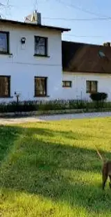 Skærmbillede 2026 02 16 103113