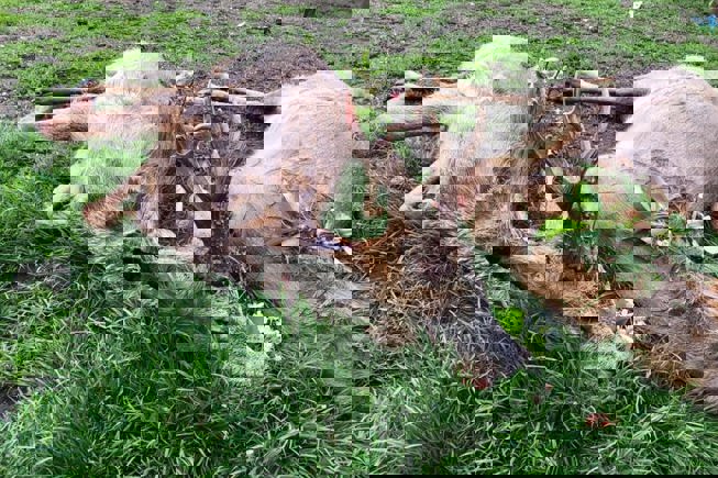 200708525 217183443577227 1910004861189741425 N