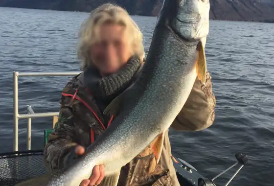 Skærmbillede 2023 10 30 175133 (1)