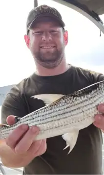 Hjemmeside Og PDF Format 169 (10) Min