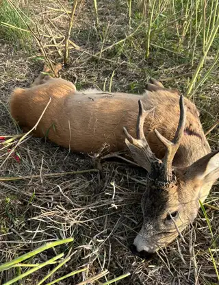 Whatsapp Image 2025 07 30 At 05.49.07