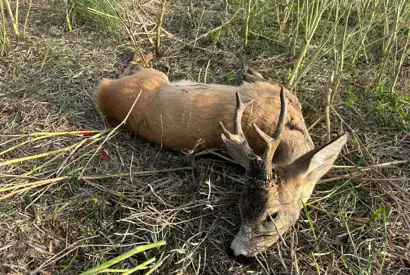 Whatsapp Image 2025 07 30 At 05.49.07