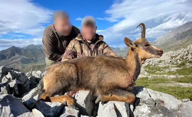 Kopi Af Hjemmeside Og PDF Format 169 (3) Min