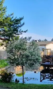 Skærmbillede 2025 06 05 104025