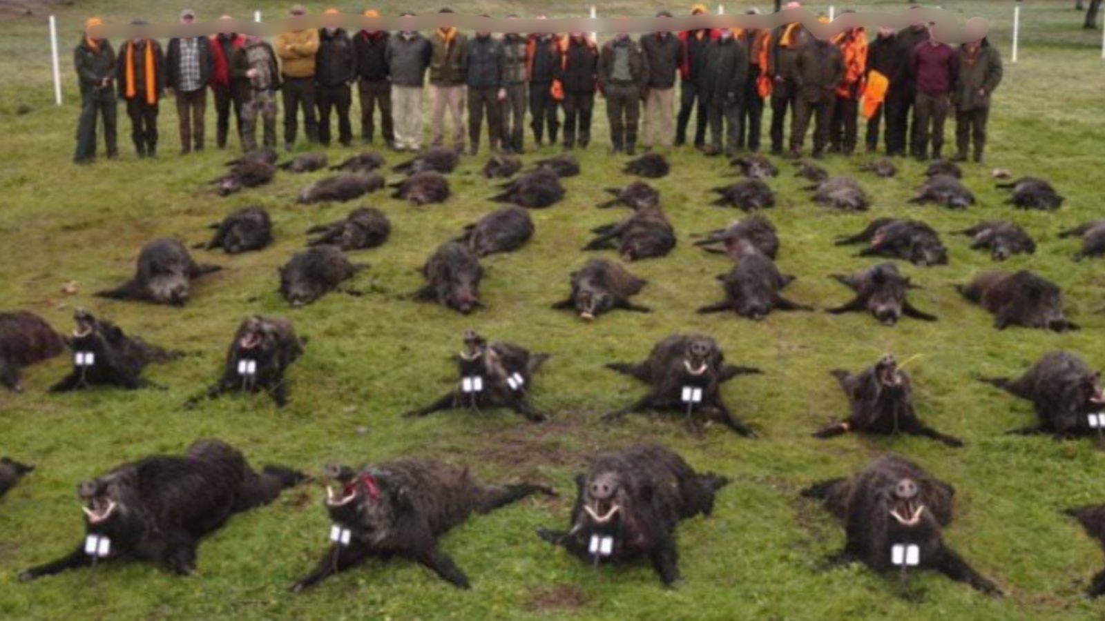 Skærmbillede 2022 07 19 Kl. 11.18.48