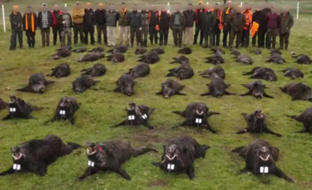 Skærmbillede 2022 07 19 Kl. 11.18.48