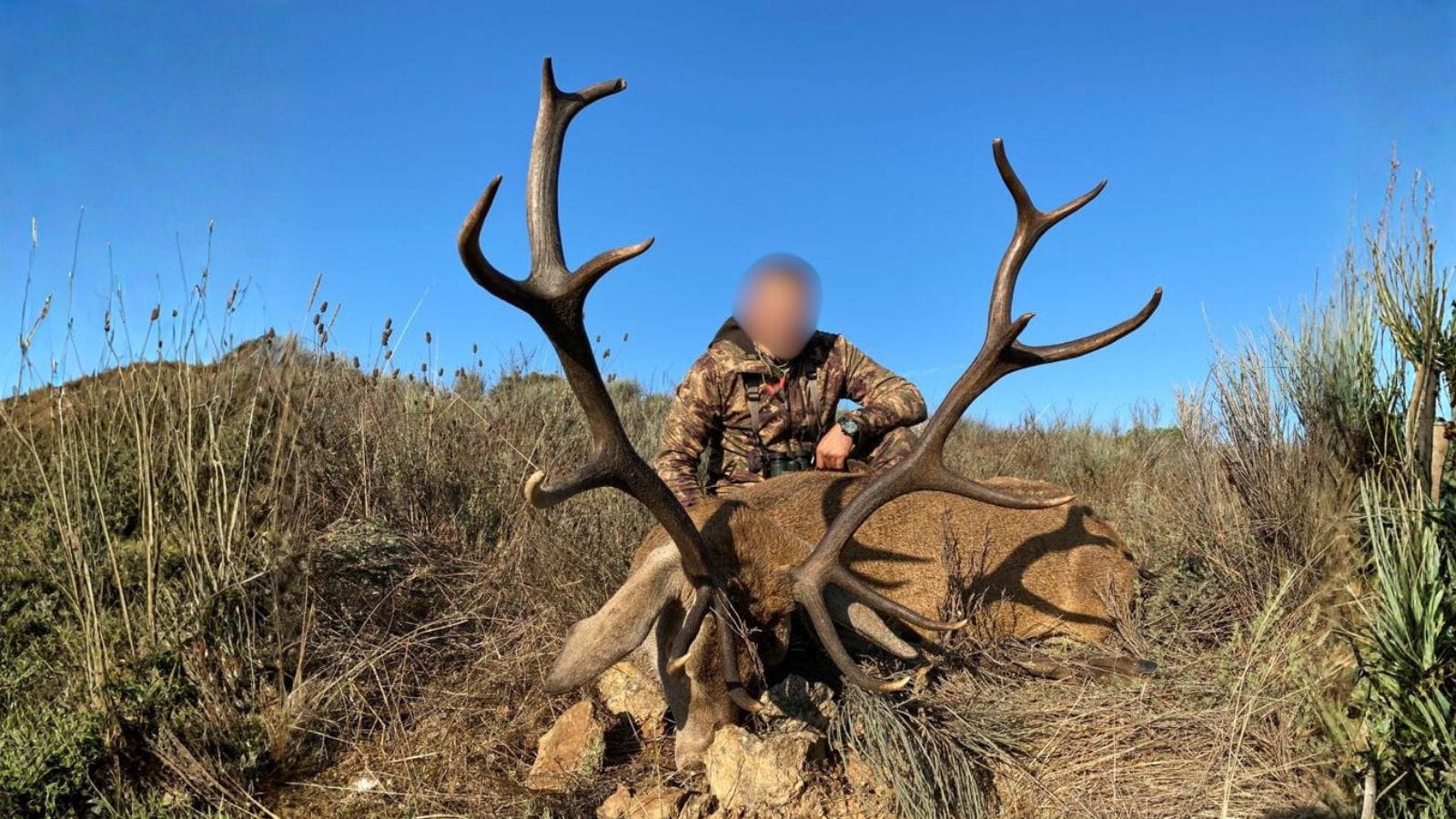 Kopi Af Hjemmeside Og PDF Format 169 (10)