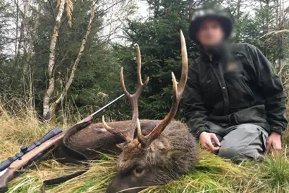 Skærmbillede 2023 12 01 082900