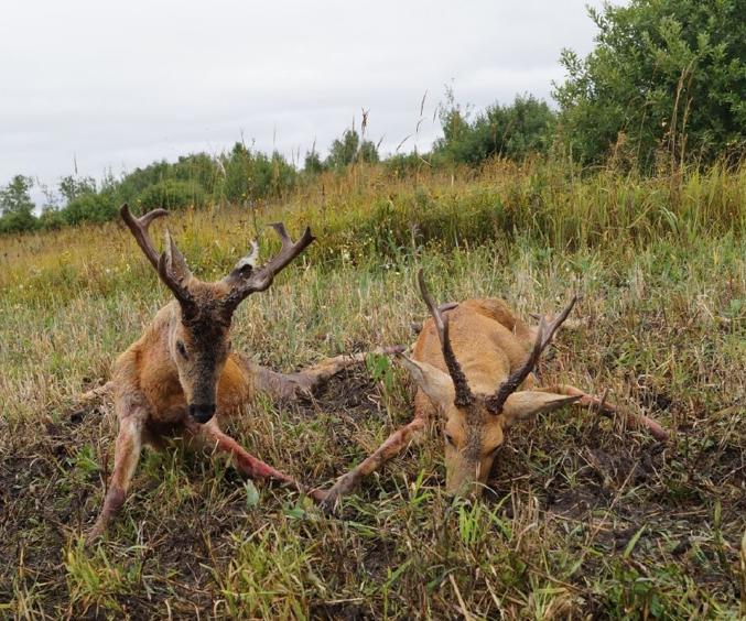 Skærmbillede 2023 10 23 170530