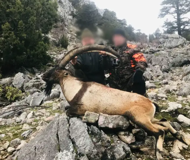 Skærmbillede 2023 12 04 162328