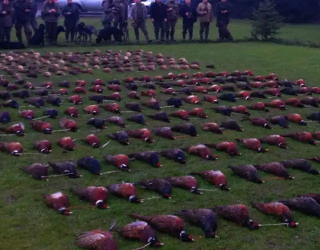 Skærmbillede 2025 02 28 134358