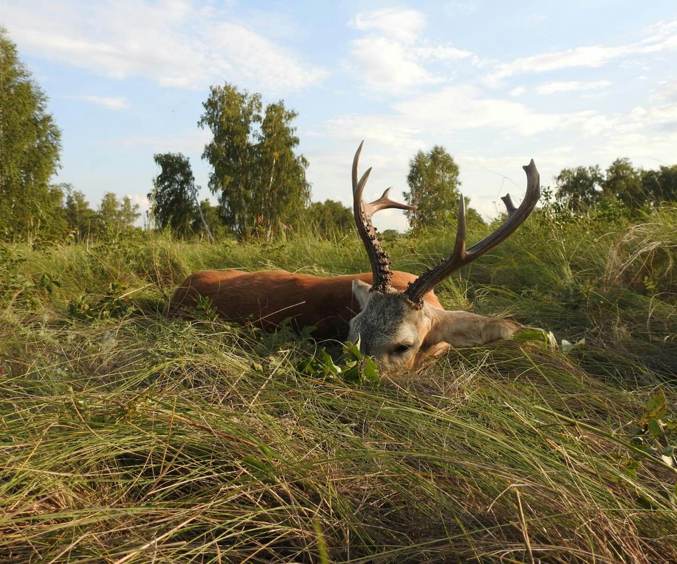 357731947 1015635336402618 8648452179225654508 N