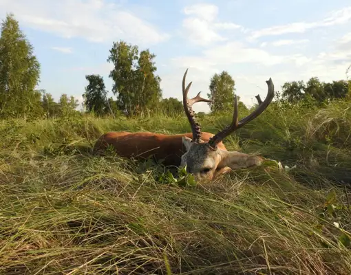 357731947 1015635336402618 8648452179225654508 N