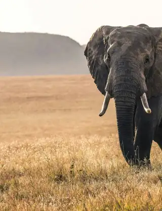 Kopi Af Hjemmeside Og PDF Format 169 (17) (1)