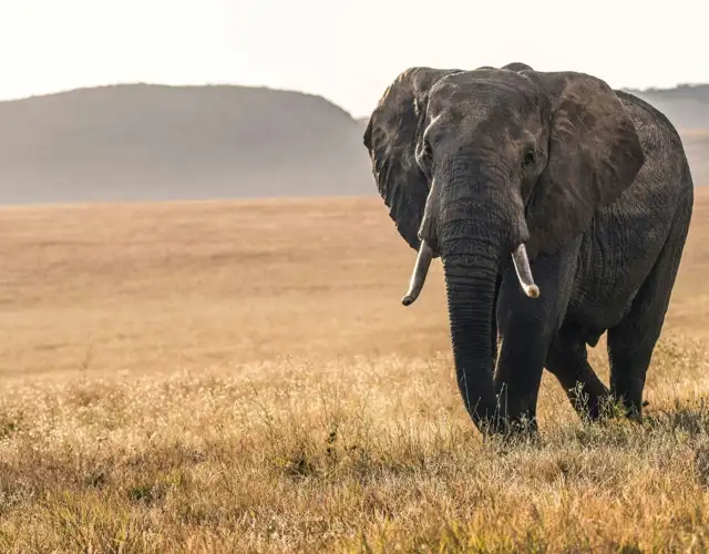 Kopi Af Hjemmeside Og PDF Format 169 (17) (1)