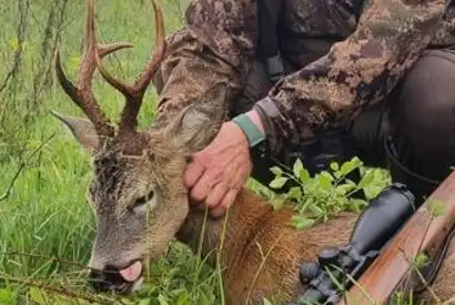 Whatsapp Image 2023 05 08 At 10.26.19