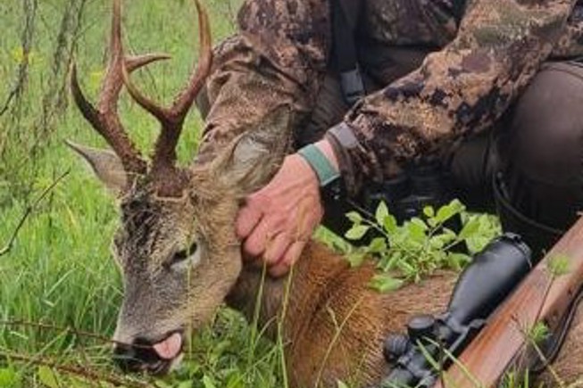 Whatsapp Image 2023 05 08 At 10.26.19