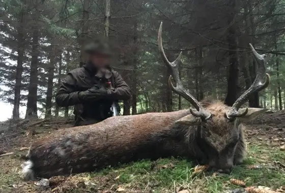 Skærmbillede 2023 12 01 082928