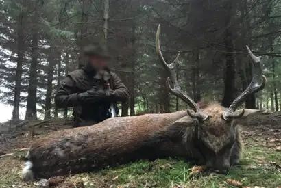 Skærmbillede 2023 12 01 082928