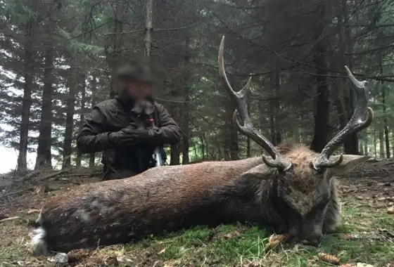 Skærmbillede 2023 12 01 082928