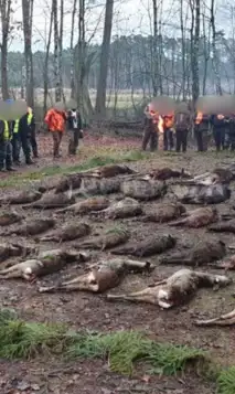 Kopi Af Hjemmeside Og PDF Format 169 (17)