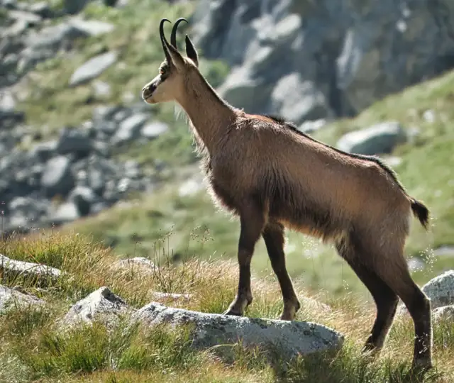 Kopi Af Kopi Af VI SØGER