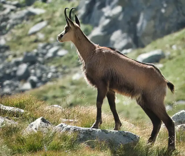 Kopi Af Kopi Af VI SØGER