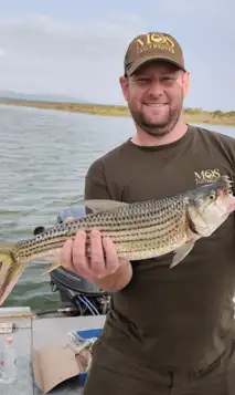 Hjemmeside Og PDF Format 169 (11) Min