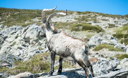 Skærmbillede 2024 10 18 124120 Min