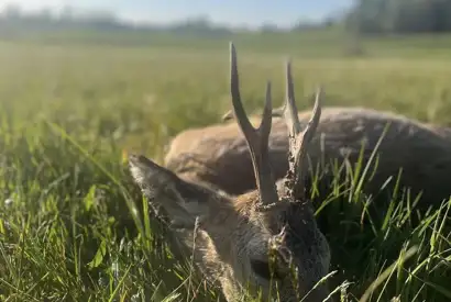 372814816 1056088635690621 7871183734821383571 N