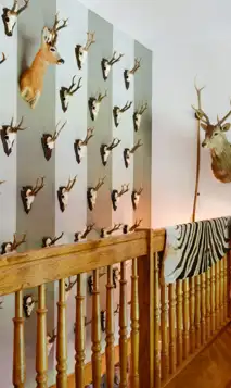 Hubertus Hunting Lodge 27 1024X768