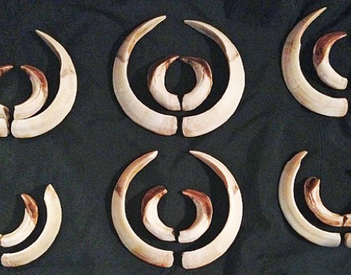 Skærmbillede 2024 10 03 132248