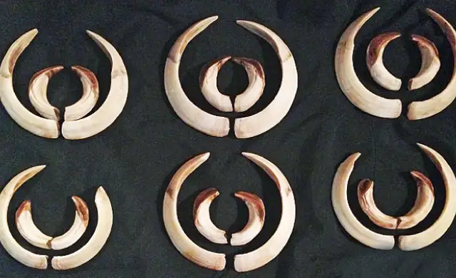 Skærmbillede 2024 10 03 132248