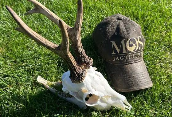 Whatsapp Image 2025 07 30 At 09.07.35 (1)