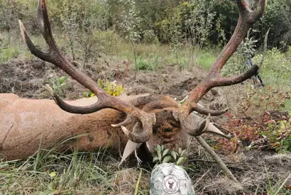 359822750 1023272582305560 5390257020581787833 N