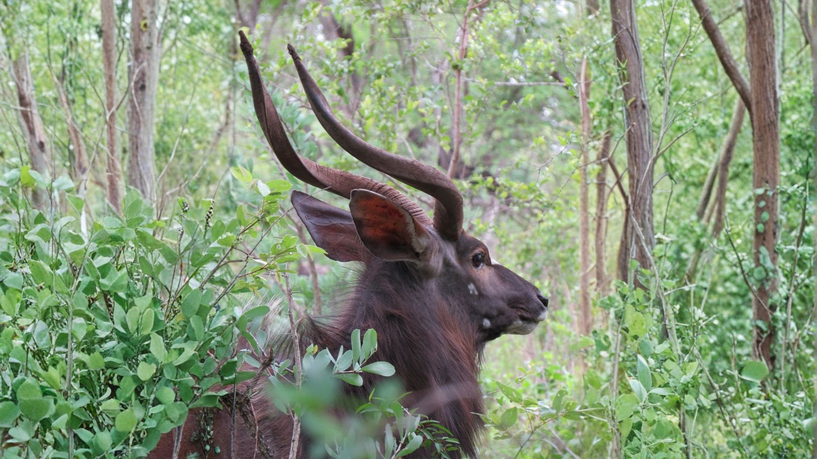 Hjemmeside Og PDF Format 169 (1)