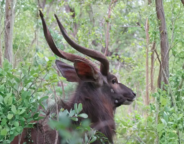 Hjemmeside Og PDF Format 169 (1)