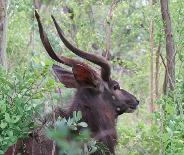 Hjemmeside Og PDF Format 169 (1)