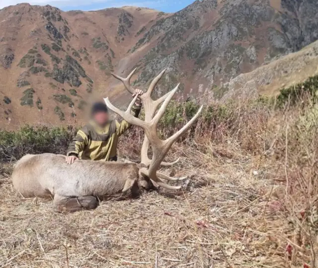 Skærmbillede 2023 12 04 132630