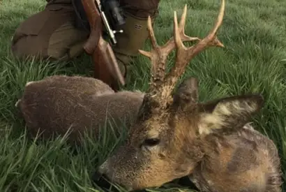 Skærmbillede 2022 07 19 Kl. 08.50.12