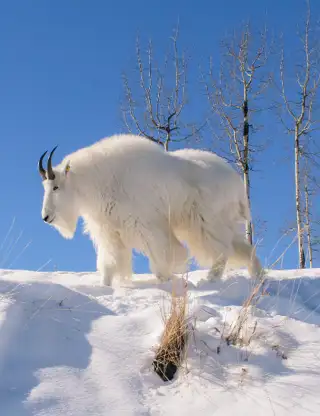 Skærmbillede 2024 07 03 115828