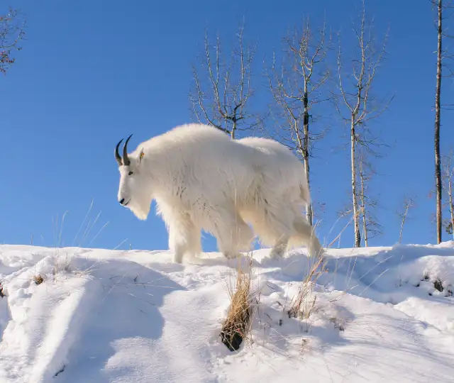 Skærmbillede 2024 07 03 115828