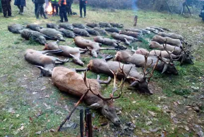 Whatsapp Image 2022 09 23 At 09.04.14