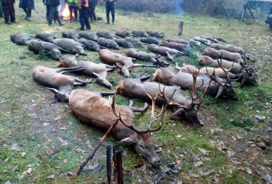 Whatsapp Image 2022 09 23 At 09.04.14