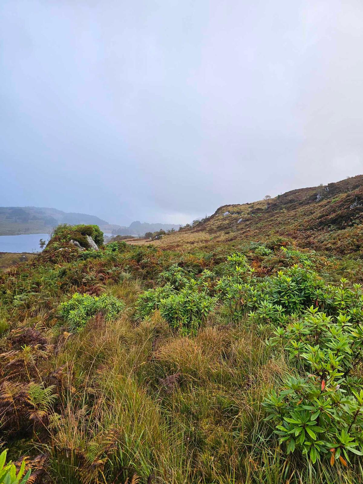 Whatsapp Image 2024 10 07 At 15.31.43