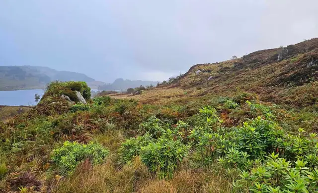 Whatsapp Image 2024 10 07 At 15.31.43