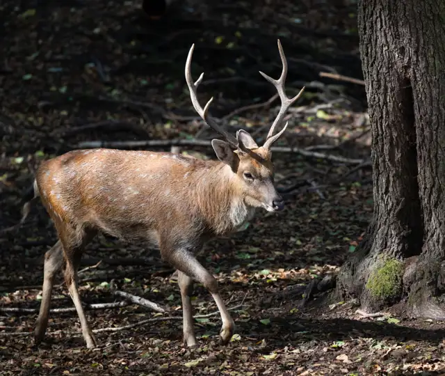 Billeder Hjemmeside (1)