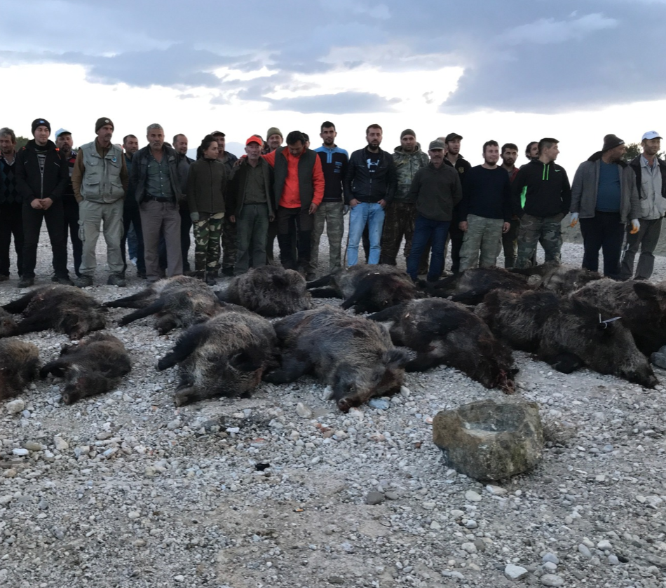 Skærmbillede 2024 09 25 134808