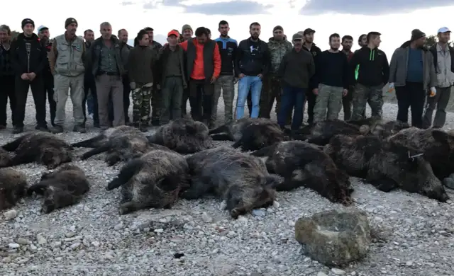 Skærmbillede 2024 09 25 134808