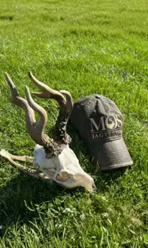 Kopi Af Hjemmeside Og PDF Format 169 (1) Min